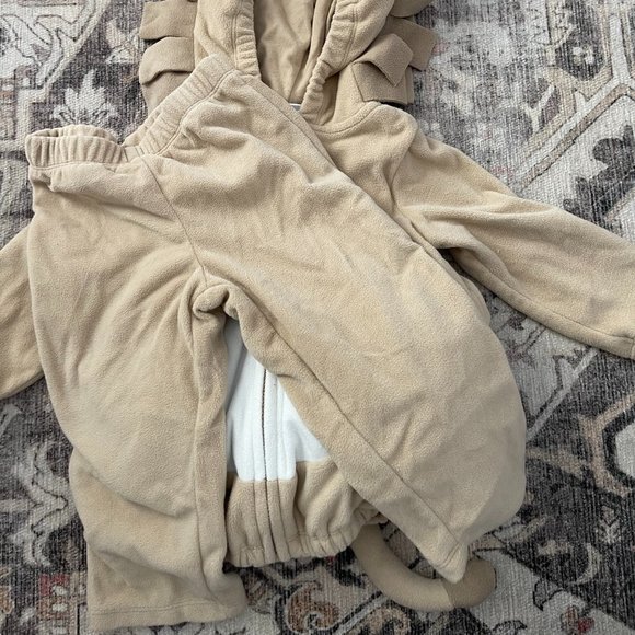 Carter's Lion Costume - Picture 2 of 3